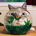 貓被魚催眠