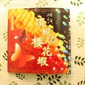 2010宅配美食展-美食試吃開箱文 - 4