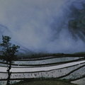 (雲起南方 2005)翻攝自柯錫杰心的視界