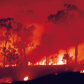 bushfire 森林大火時的火點現場