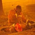 bushfire 森林大火燒的人人都沮喪