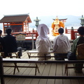 嚴島神社的婚禮一景