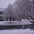 新州的三月雪 - 1