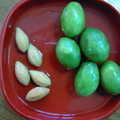 錫蘭橄欖種子