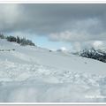 旅遊記事-20060318-Olympic National Park-雪地 - 46