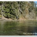 旅遊記事-20060319-Olympic National Park - 22