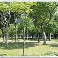 20090531-大安森林公園 - 17