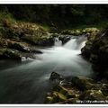 20120128-觀魚步道 - 15