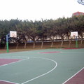 綠籃球場