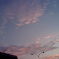 早晨走在街道上

仰望天空.........攝於2009/11/10
