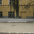 Russia 2008 5 - 8