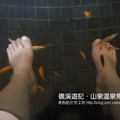 礁溪~山泉溫泉魚 - 7