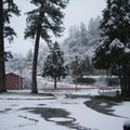 Winter came to Muir Lodge