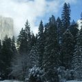 Yosemite winter 11