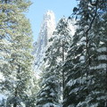 Yosemite Winter is pretty 7