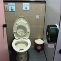 Taidong's toilet and shade treets - 1