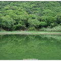 湖畔石椅傍著綠色到影，幽靜青翠。