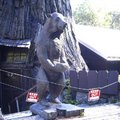 樹屋及熊雕像