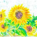 sunflowers--粉彩畫 By MM
