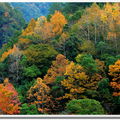 Autumn Scene- cooljohn攝影 -