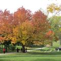 Cox park in Dayton, Ohio