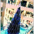 大江聖誕樹