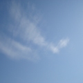 海豹雲