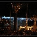 澳洲聖誕燈飾 - 40