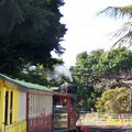 茂宜島的甘蔗小火車