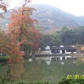 蘇州天平山楓樹林
