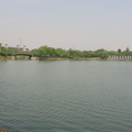 新區公園垂釣湖