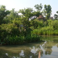 杭州 西溪濕地公園 - 1