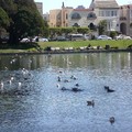 Palace of Fine Arts