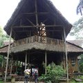 Jungle lodge