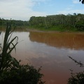 亞馬遜叢林 - 3