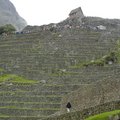 Machu Picchu - 4