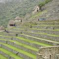 Machu Picchu - 5