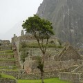 Machu Picchu - 1