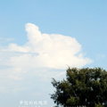 ◎烏龜雲