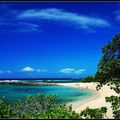 藍天、白雲、海灘、美女與椰子樹，構成夏威夷風情，美極了，真讓人流連忘返。

大自然真美，我喜歡背著相機走天涯，拍下美的人、事、物，以紀錄，並將美分享大眾，讓每個人心，都很美、很美，則世界將更美、更美！