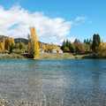 紐西蘭的南島真美，1999年移居基督城後，每年總盼望到箭鎮、皇后鎮賞秋。湖光水色配以多變、艷麗秋色，總是讓我流連再三，這些是Clutha River的秋景。