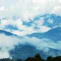 天地造化，本無所謂美醜；萬法因緣生，心美，看一切都美。
2008年6月首遊沙巴洲，在神山國家公園內拍下了這些雲霧之美，不敢獨享....。