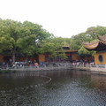 普濟寺前的放生池