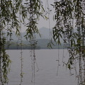 湖水山色柳絲垂