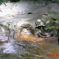 Kabal Spean河床浮雕。