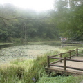 福山植物園美麗景致 - 1