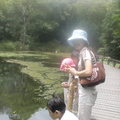 福山植物園美麗景致 - 4
