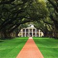 橡樹園酒店 美國路易斯安那州 Oak Alley Plantation，橡樹園酒店的老橡樹甬道。飯店為三星級。