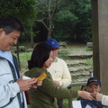 20100102姜子寮山 - 4