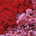 愛戀玫瑰 - 2
